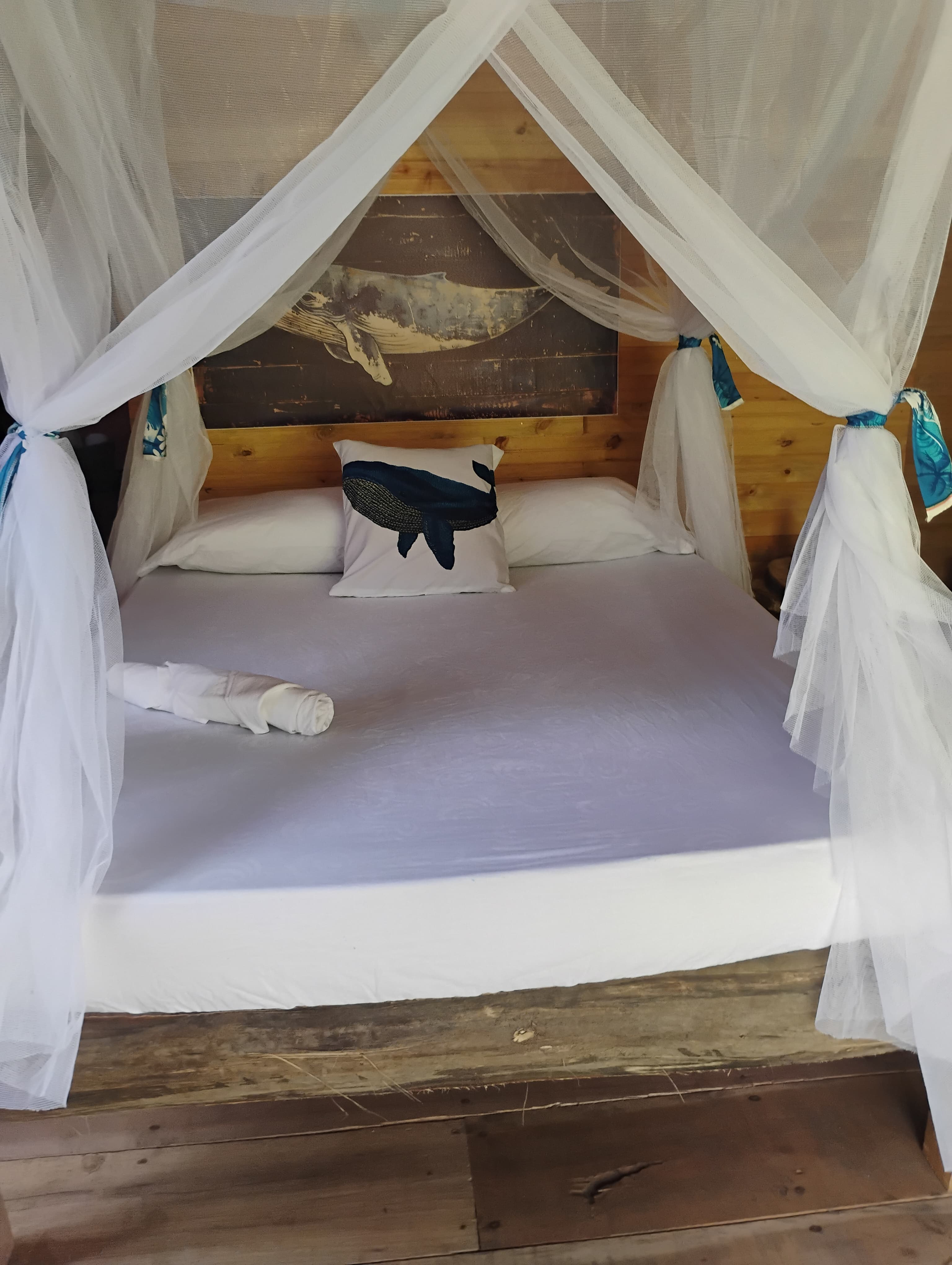 hoteles en la barra-bonitos buenaventura